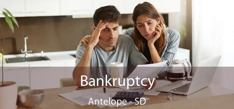  Bankruptcy Antelope - SD