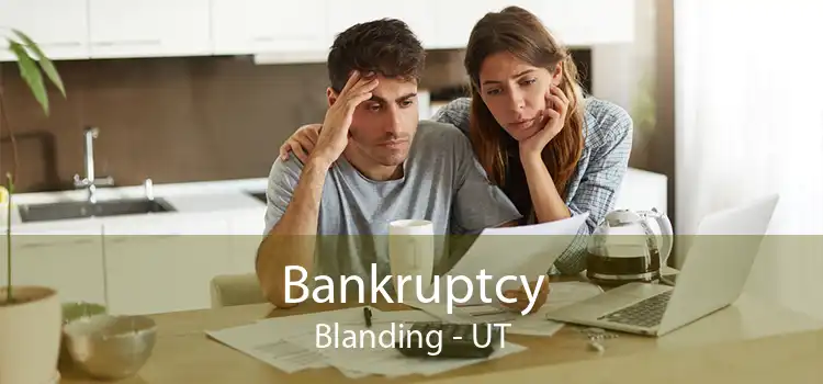 Bankruptcy Blanding - UT