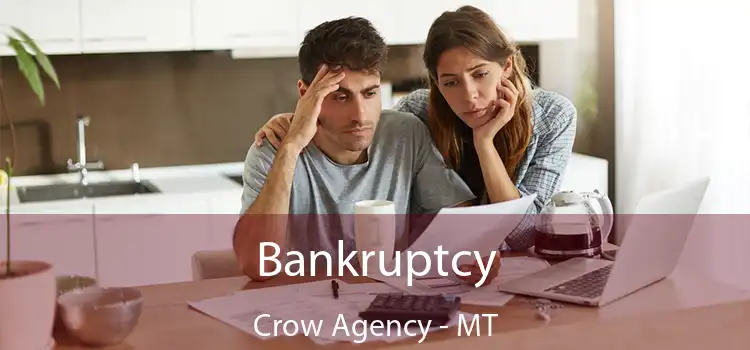 Bankruptcy Crow Agency - MT