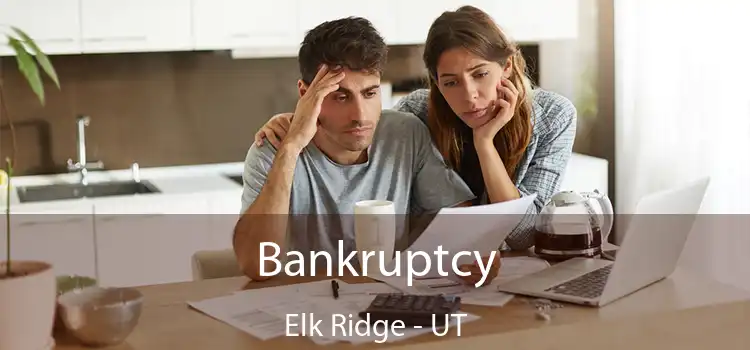  Bankruptcy Elk Ridge - UT