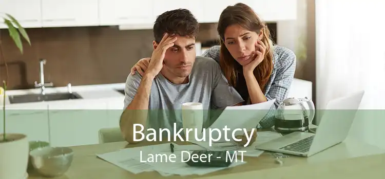 Bankruptcy Lame Deer - MT