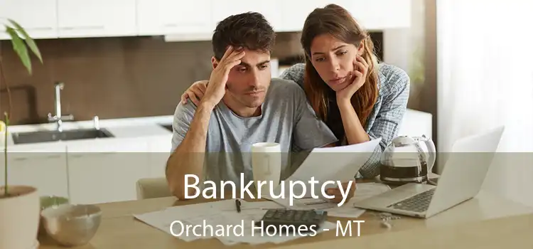 Bankruptcy Orchard Homes - MT