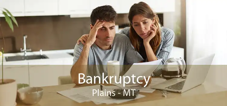 Bankruptcy Plains - MT