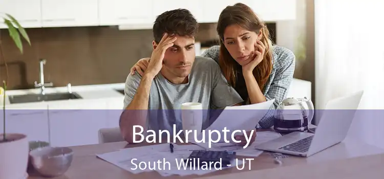 Bankruptcy South Willard - UT