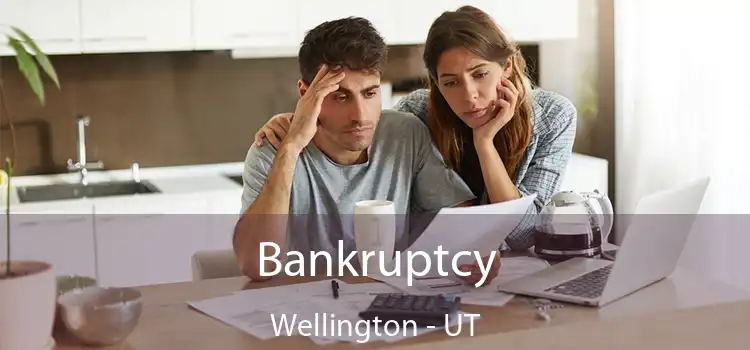 Bankruptcy Wellington - UT