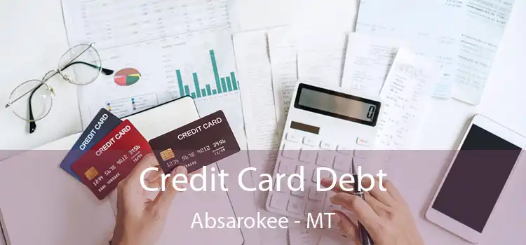  Credit Card Debt Absarokee - MT