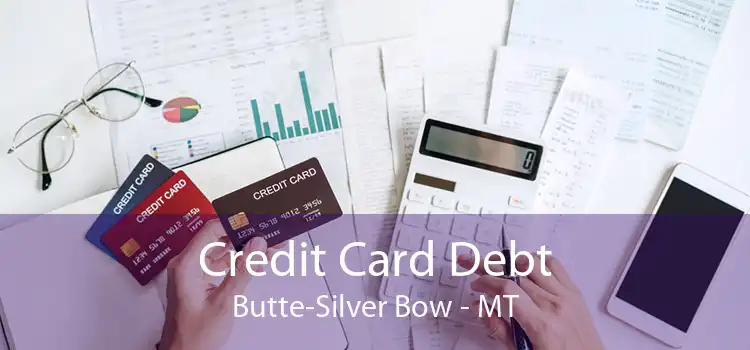 Credit Card Debt Butte-Silver Bow - MT