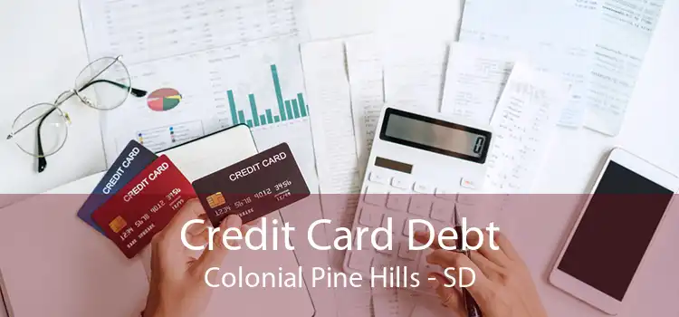 Credit Card Debt Colonial Pine Hills - SD
