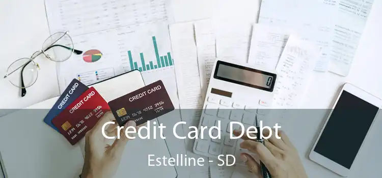  Credit Card Debt Estelline - SD