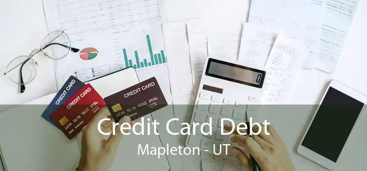 Credit Card Debt Mapleton - UT