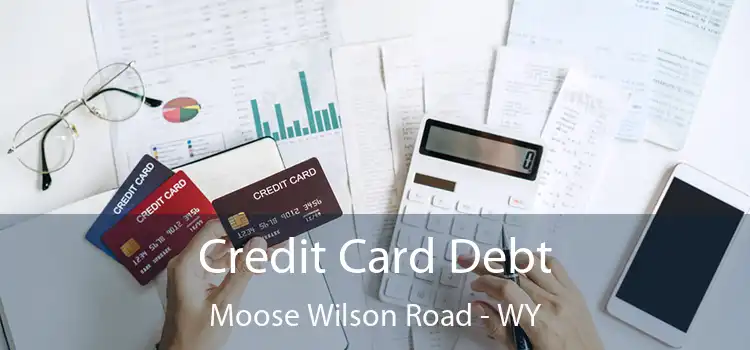  Credit Card Debt Moose Wilson Road - WY
