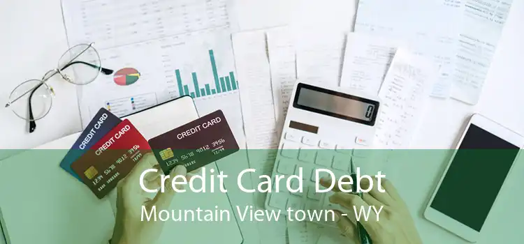Credit Card Debt Mountain View town - WY