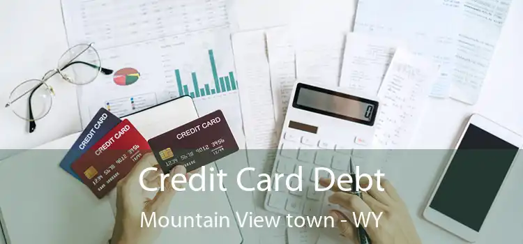  Credit Card Debt Mountain View town - WY