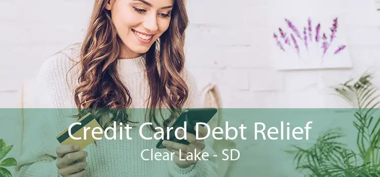 Credit Card Debt Relief Clear Lake - SD