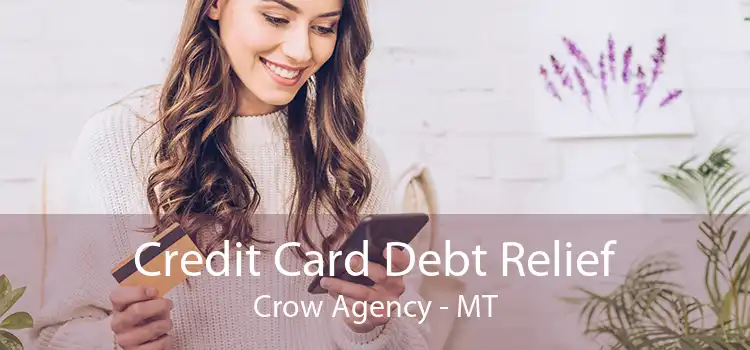 Credit Card Debt Relief Crow Agency - MT