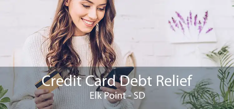 Credit Card Debt Relief Elk Point - SD