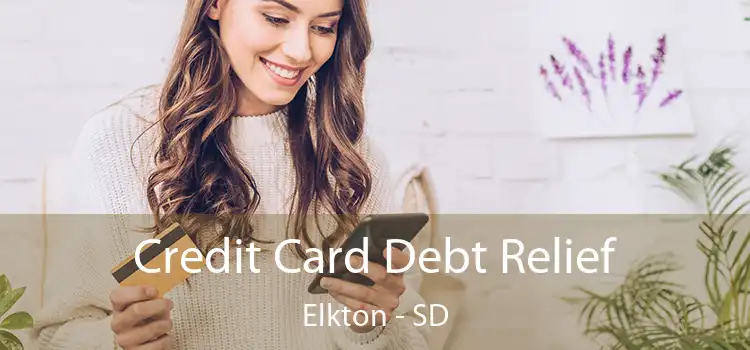 Credit Card Debt Relief Elkton - SD