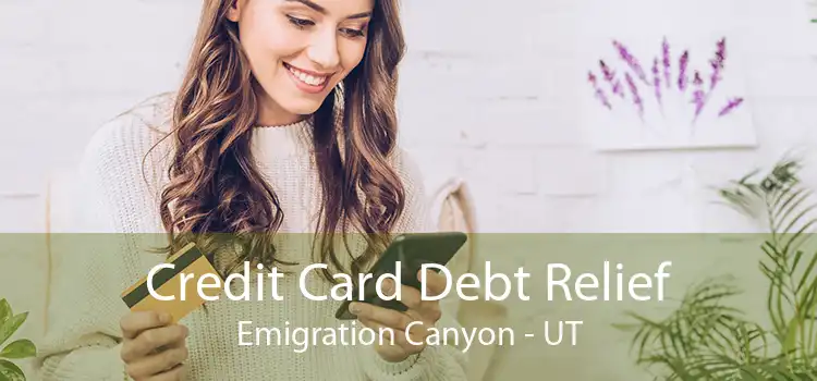 Credit Card Debt Relief Emigration Canyon - UT