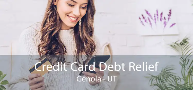 Credit Card Debt Relief Genola - UT