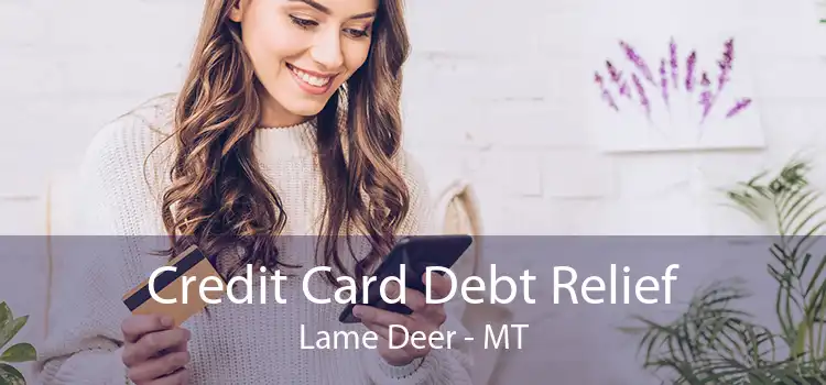 Credit Card Debt Relief Lame Deer - MT