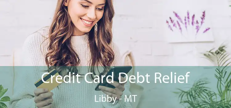 Credit Card Debt Relief Libby - MT