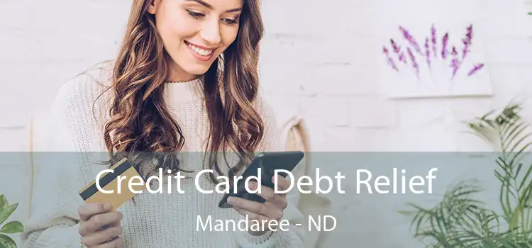  Credit Card Debt Relief Mandaree - ND