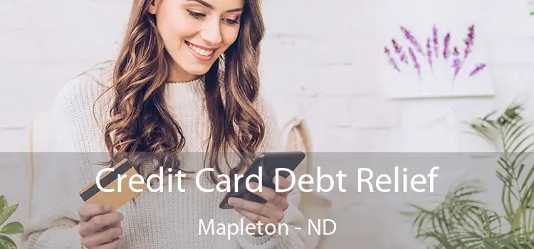  Credit Card Debt Relief Mapleton - ND