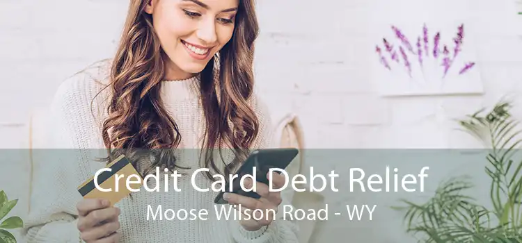 Credit Card Debt Relief Moose Wilson Road - WY