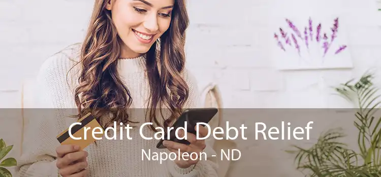 Credit Card Debt Relief Napoleon - ND