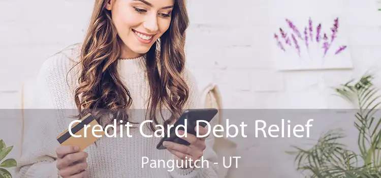 Credit Card Debt Relief Panguitch - UT