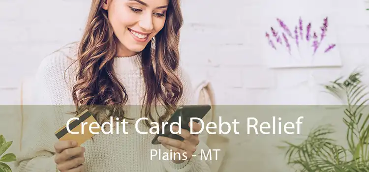  Credit Card Debt Relief Plains - MT