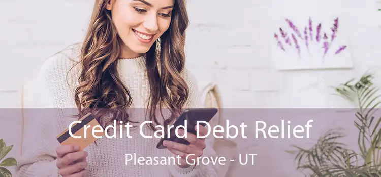  Credit Card Debt Relief Pleasant Grove - UT