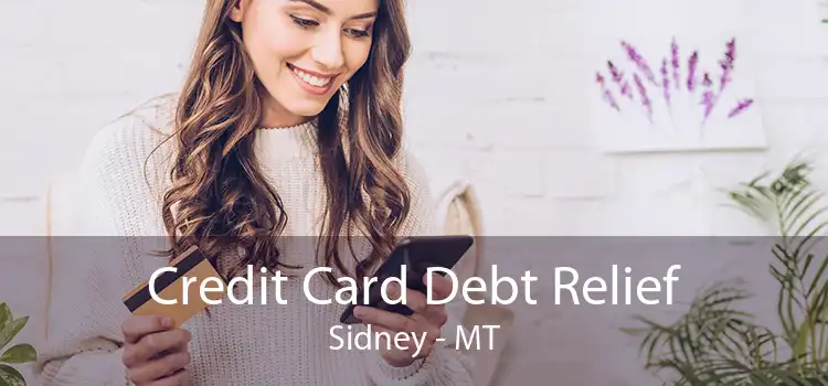 Credit Card Debt Relief Sidney - MT