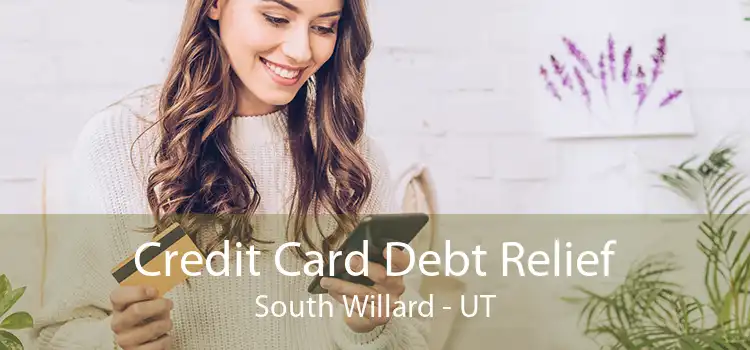 Credit Card Debt Relief South Willard - UT
