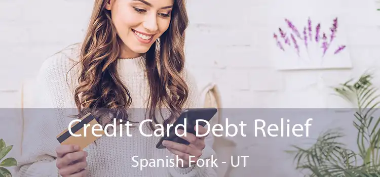 Credit Card Debt Relief Spanish Fork - UT