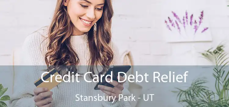 Credit Card Debt Relief Stansbury Park - UT