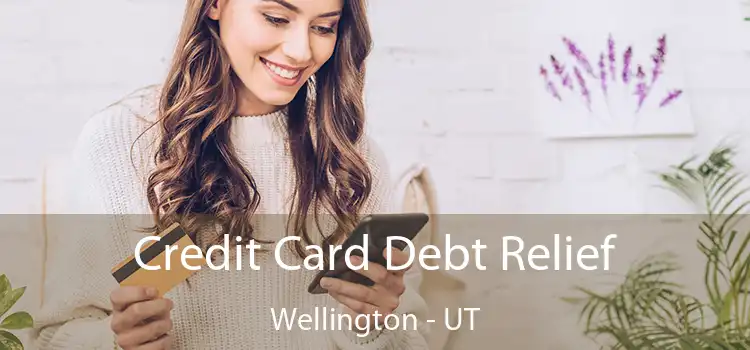  Credit Card Debt Relief Wellington - UT