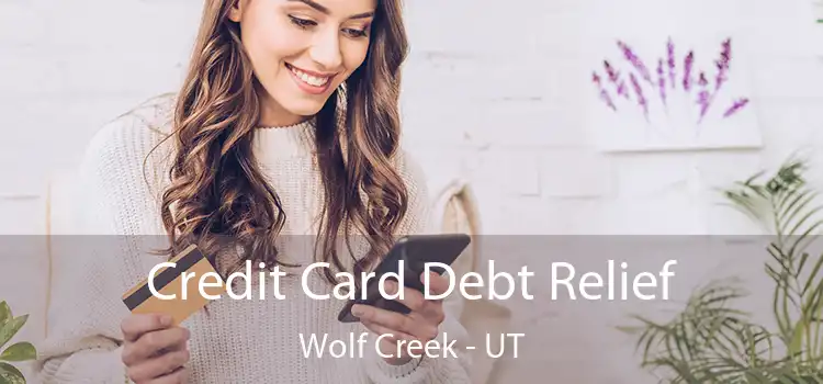  Credit Card Debt Relief Wolf Creek - UT