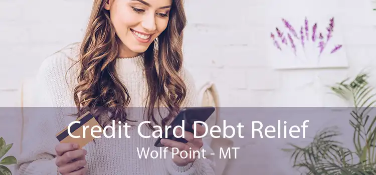 Credit Card Debt Relief Wolf Point - MT