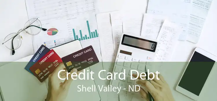Credit Card Debt Shell Valley - ND