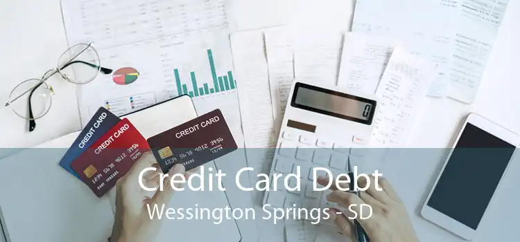 Credit Card Debt Wessington Springs - SD