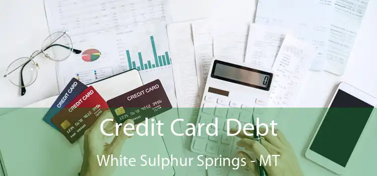  Credit Card Debt White Sulphur Springs - MT