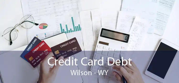 Credit Card Debt Wilson - WY