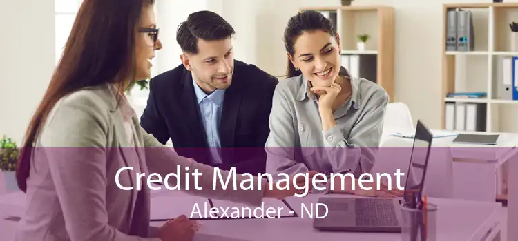 Credit Management Alexander - ND