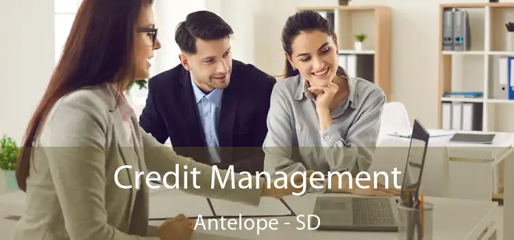  Credit Management Antelope - SD