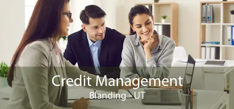Credit Management Blanding - UT
