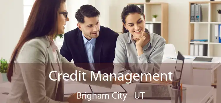 Credit Management Brigham City - UT