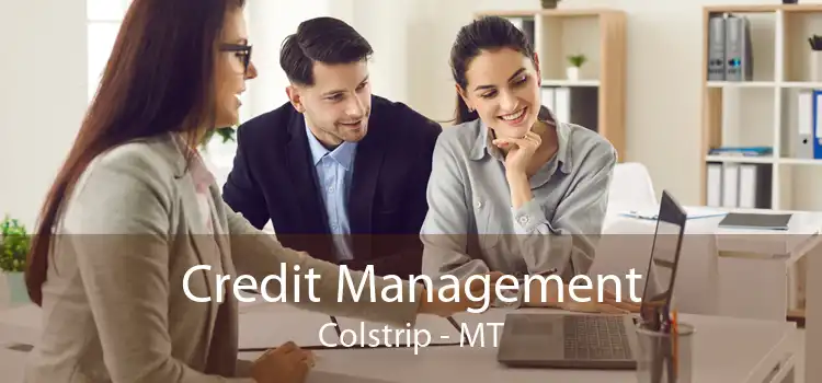 Credit Management Colstrip - MT