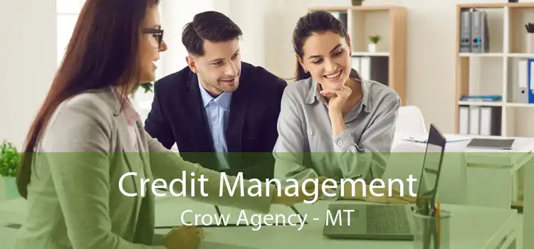 Credit Management Crow Agency - MT
