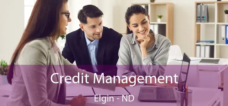  Credit Management Elgin - ND